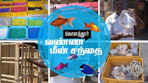 Kolathur Fish Market.